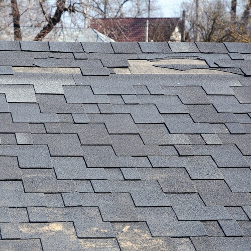 A close up view of shingles a roof damage. Roof Shingles - Roofing.